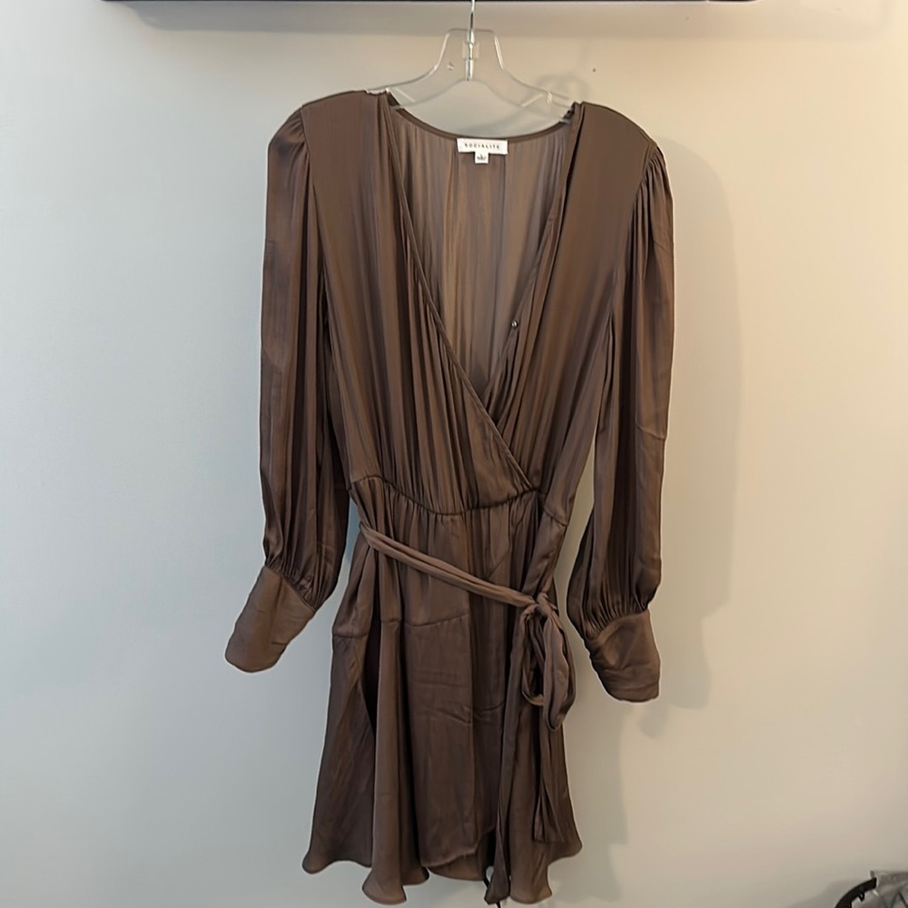 Socialite along sleeve silk dress